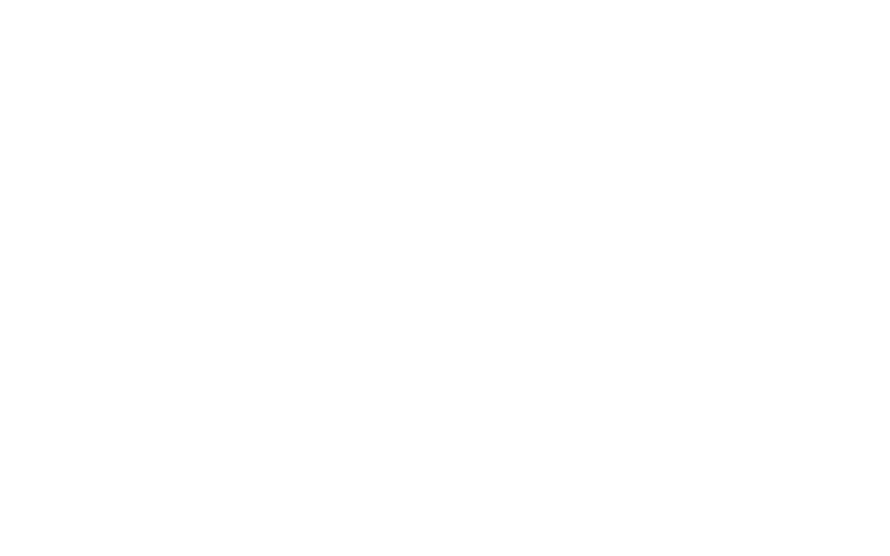 FLEETCO THIESS