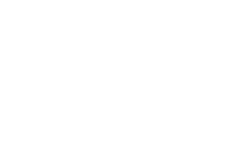 PERTH FESTIVAL